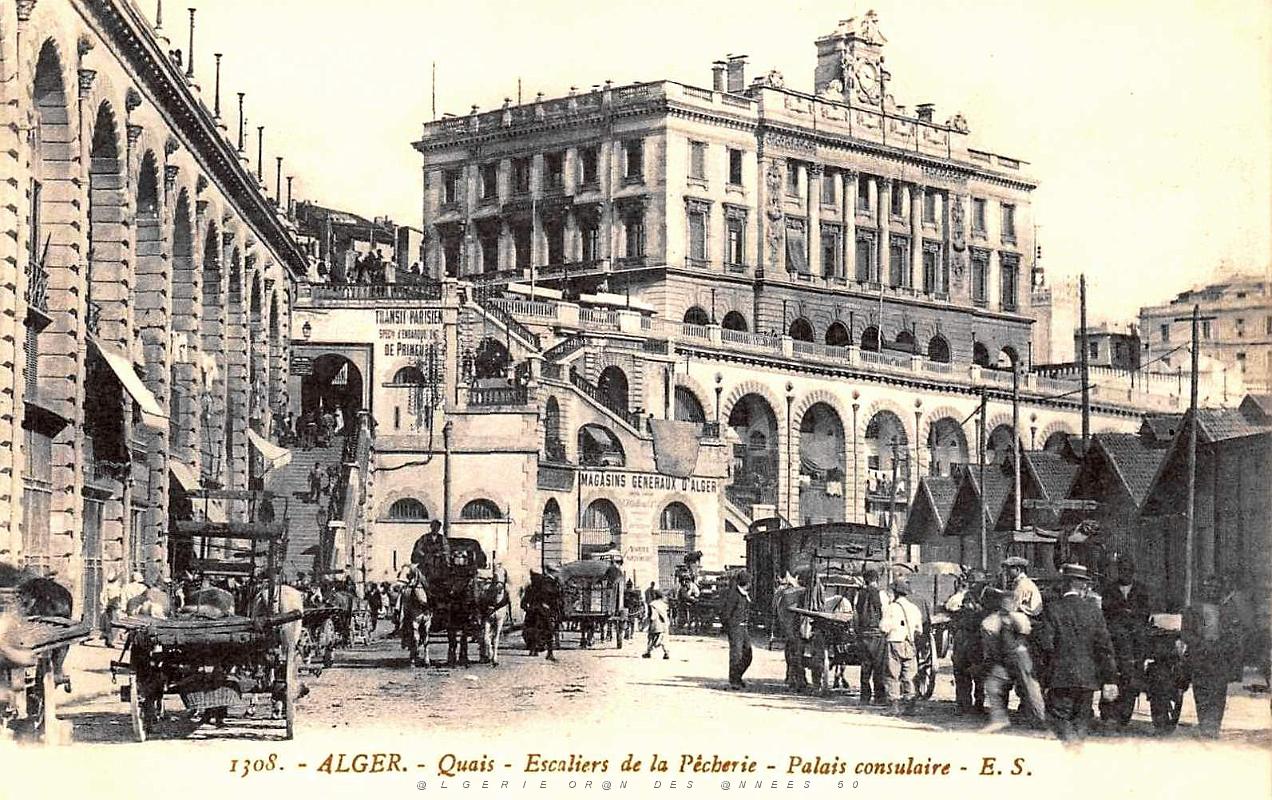 395- Alger - Les quais.jpg